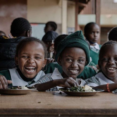 Supporting Primary Schools