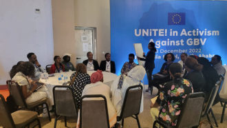 NEWA Moderated a Discussion at the European Union in Ethiopia