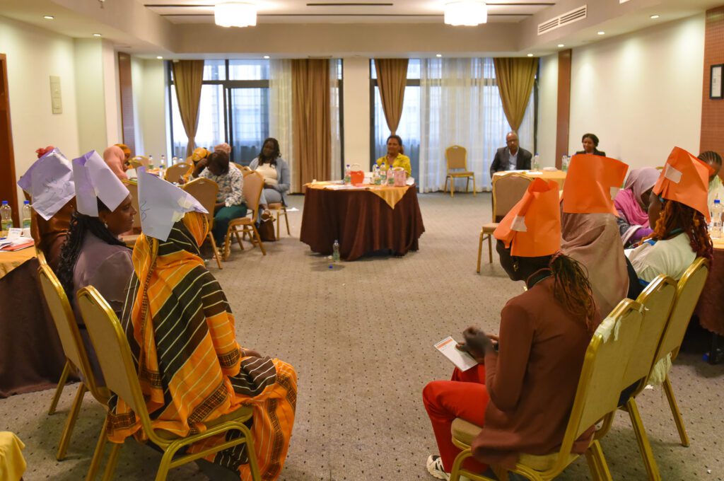 NEWA organized a three-day capacity building training on political participation and election in collaboration with NEBE and UN Women Ethiopia.