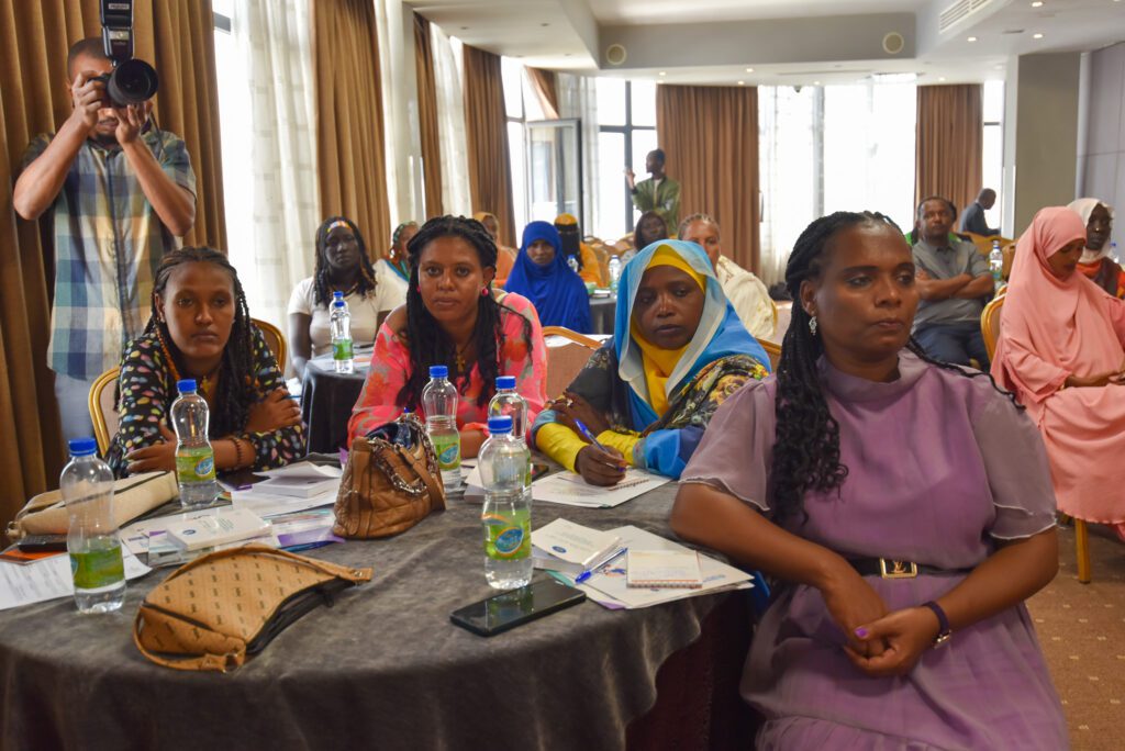 NEWA organized a three-day capacity building training on political participation and election in collaboration with NEBE and UN Women Ethiopia.