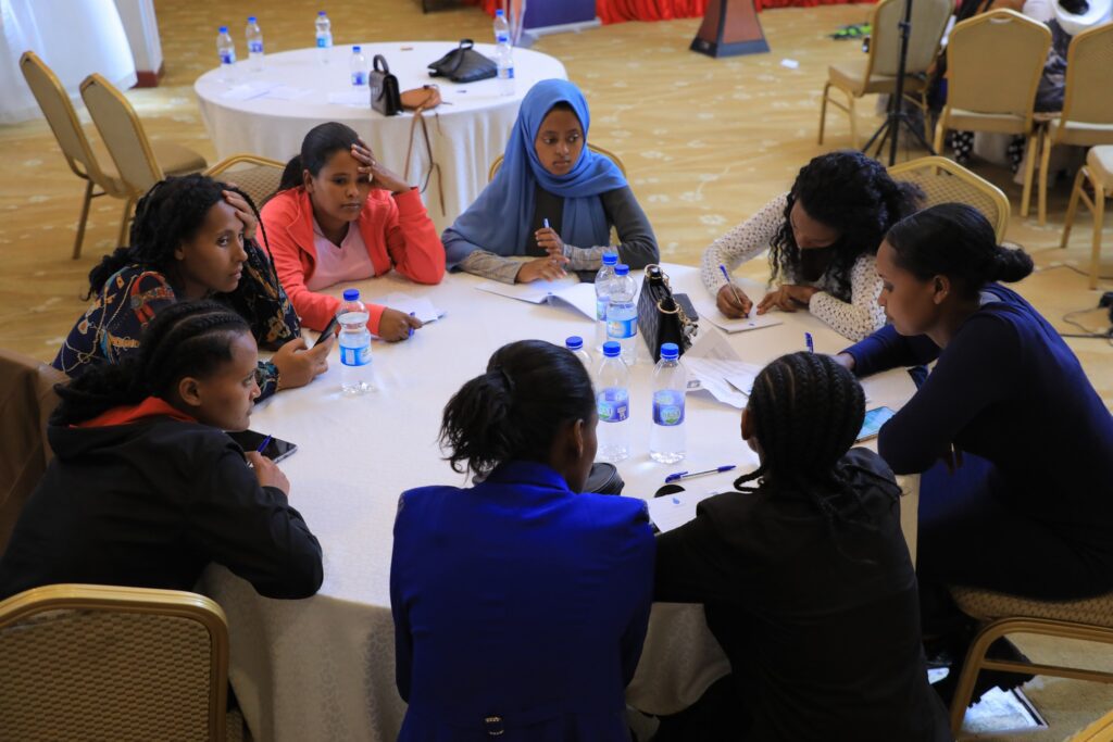 NEWA in partnership with Terredes Hommes Netherlands, organized a consultative meeting with Ethiopian Young Women Voice (EYWV)