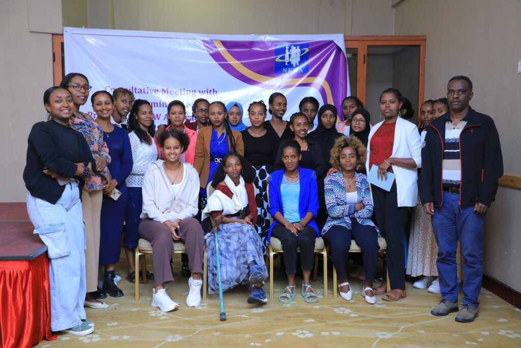 NEWA in partnership with Terredes Hommes Netherlands, organized a consultative meeting with Ethiopian Young Women Voice (EYWV)