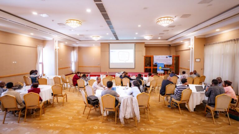 NEWA with funding from the IDRC / CRDI is implementing a project titled “Coupling Unpaid Care and Domestic Work with Local Development Agenda for Improved Care Systems in Ethiopia”.