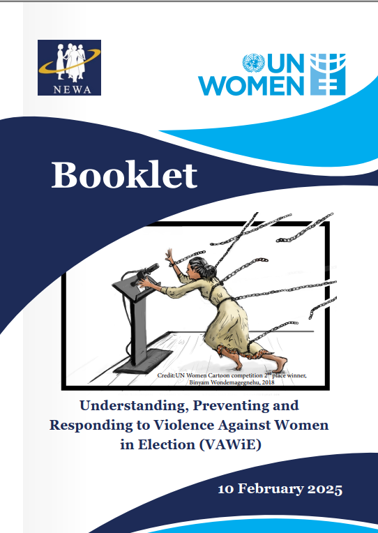 Understanding, Preventing and Responding to Violence Against Women in Election