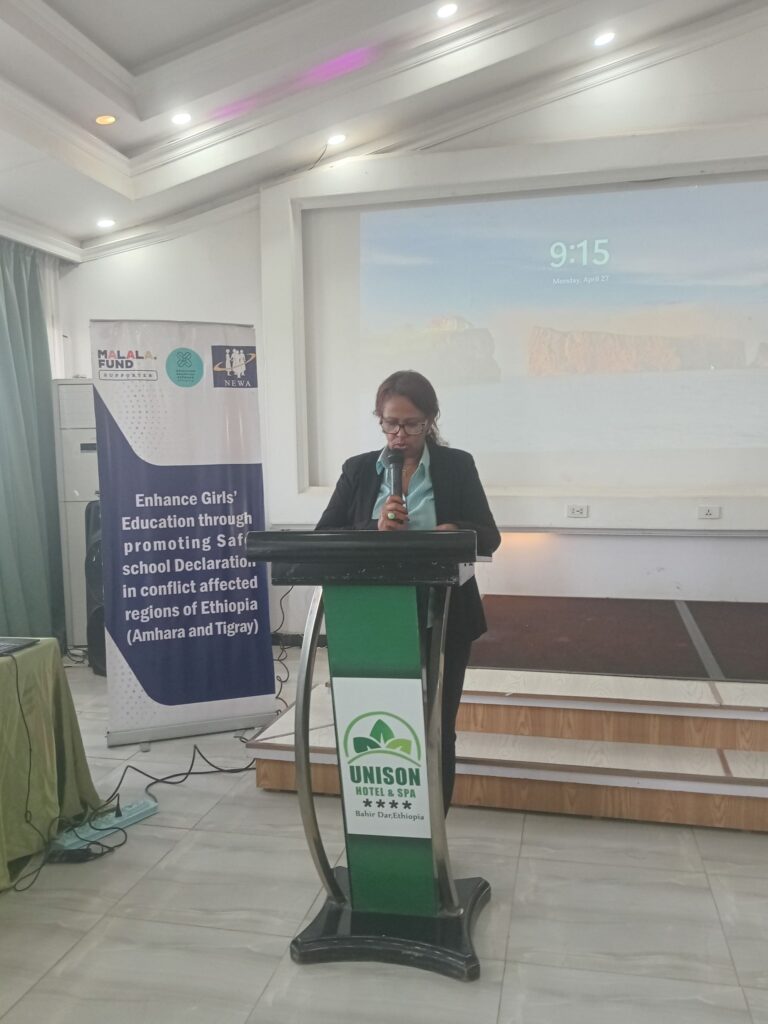 Regional- Level Capacity Building Training on the Safe School Declaration (SSD)  –  Bahir Dar