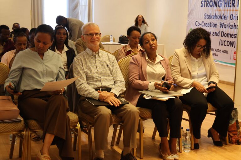 Stakeholders Co-Create Practical Solutions to Reduce Unpaid Care and Domestic Work in Addis Ababa and Oromia